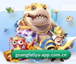 视频专区聚合,比赛集锦与经典赛事回顾